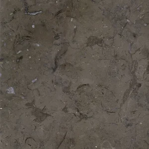 Mramor MELLY GREY FOSSILS